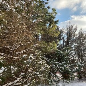 Meet your Posher, Clayton